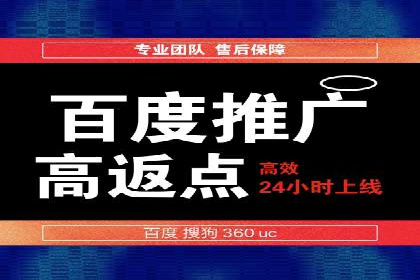 行业领先企业的SEM广告投放策略案例